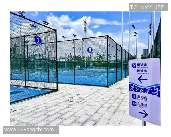 杭州网球队的盯防体系解析与战术运用探讨